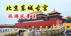 用男人的大鸡巴，戳女生小穴的软件中国北京-东城古宫旅游风景区